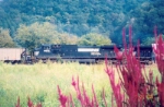 NS 8902